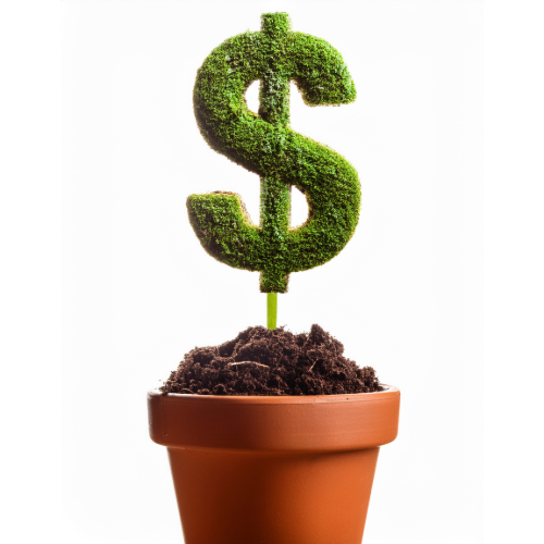 Grow The Money